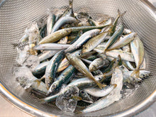 画像をギャラリービューアに読み込む, 【大パック500g】季節の小魚フローズン(フリーザーバッグ冷凍) #56FP
