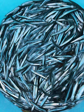 画像をギャラリービューアに読み込む, たくさんの氷の中に小魚がたくさんはいっています。みるからに新鮮で目が輝いています。