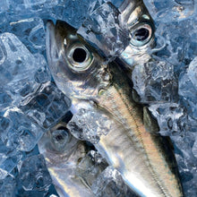 画像をギャラリービューアに読み込む, 【中パック350g】季節の小魚フローズン(真空冷凍) #KLP9