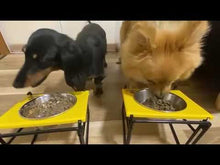 ギャラリービューアならんでお食事している2人のわんちゃんです。に読み込んでビデオを見る