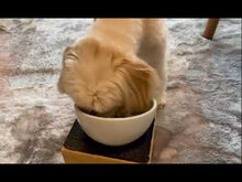 ギャラリービューアお魚ごはんをもぐもぐ食べて顔が見えないわんちゃんです。に読み込んでビデオを見る