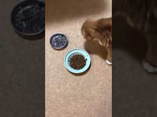 ギャラリービューアよめりんのレトルトミンチ目なし(郵便受け投函型) #UMFDに読み込んでビデオを見る