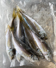 画像をギャラリービューアに読み込む, 熊野灘や伊勢志摩産の天然魚の無添加フローズンお魚ごはんのパック1個。小魚がそのまま入って凍結している様子が確認できる。