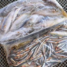 画像をギャラリービューアに読み込む, 小魚を袋にいれて凍結させた商品が2袋並んでいます。