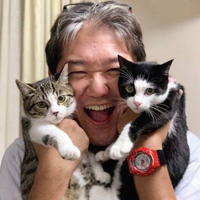 ねこちゃんにおすすめのお魚ごはん